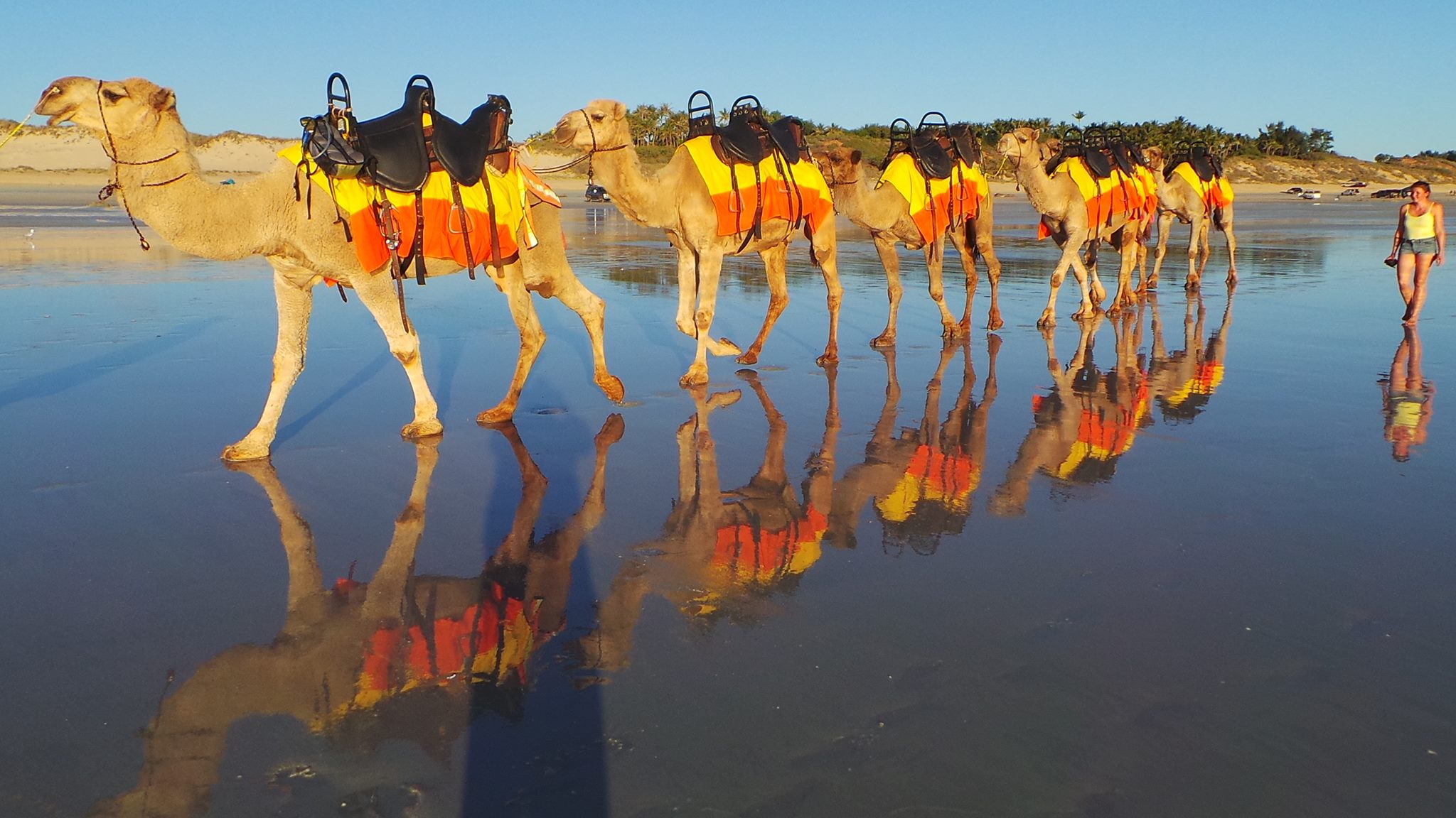 Ride a camel on Cable Beach in Broome